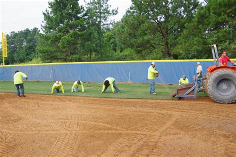 Sod Installation | Holly Springs & Raleigh, NC — North Carolina Turf Care