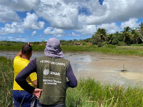 Senar Sergipe Abre Credenciamento Para Assist Ncia T Cnica E Gerencial