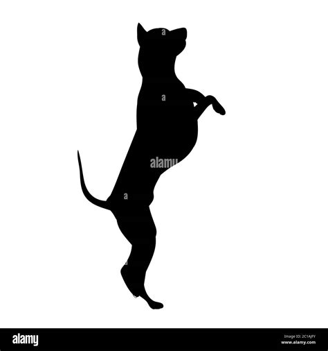 Silueta Negra De Un Perro Saltando Imagen Vector De Stock Alamy