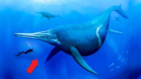 The Largest Marine Reptile Ever Youtube