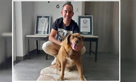 Bobi el perro más longevo del mundo pierde su Récord Guinness por