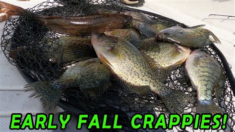 Early Fall Crappie Fishing At Lake Wisconsin Youtube