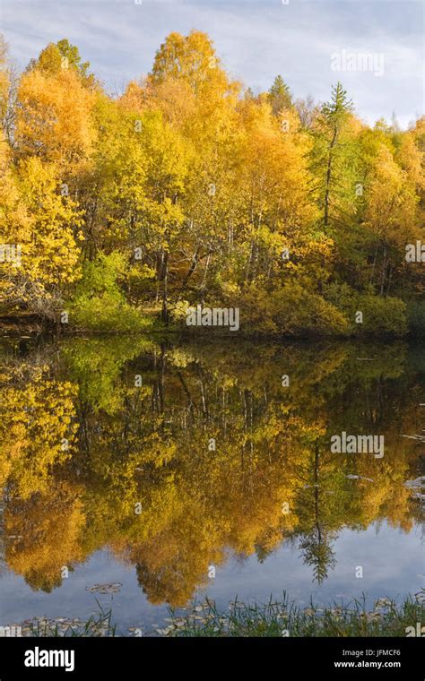 Ranas de lago italia fotografías e imágenes de alta resolución Alamy