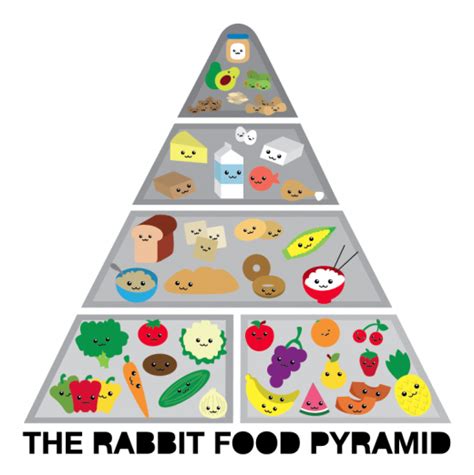 The Rabbit Food Pyramid Rabbit Food For My Bunny Teeth