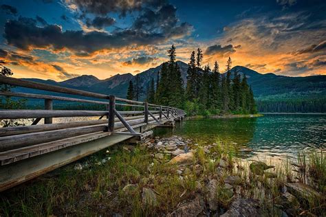 Green Leafed Tree Landscape Nature Jasper National Park Canada Hd