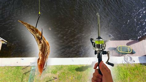 Fishing Docks For My Dinner With Worlds SMALLEST Fishing Rod Catch