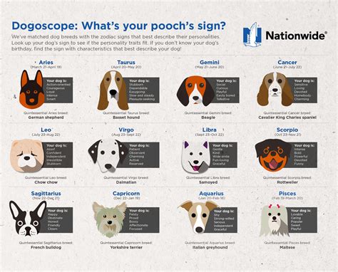 Pet Horoscope Infographic Pet Health Insurance And Tips