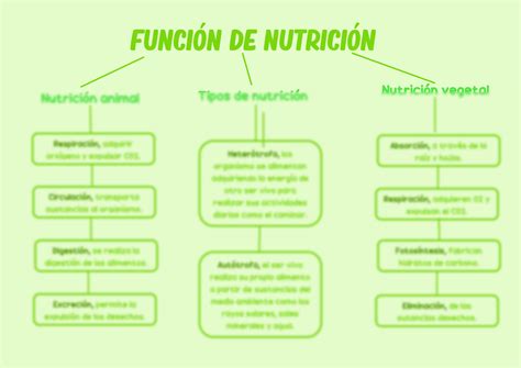 Solution Mapa Conceptual Funci N De Nutrici N Studypool