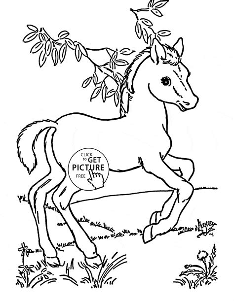 10++ Cute baby horse coloring pages ideas