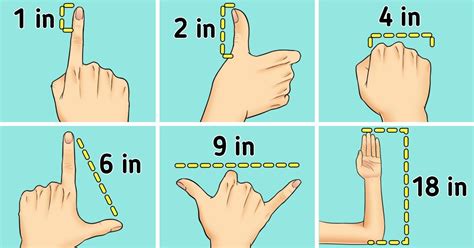 Ways To Measure Without A Ruler Bright Side