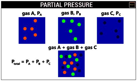 Partial Pressure - Definition, Expression, Dalton’s Law, FAQs - Testbook