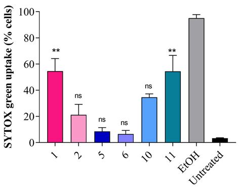 Membrane Permeabilization Of S Aureus Atcc 29737 Induced By The Download Scientific Diagram