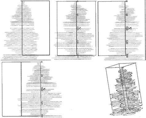 Four typical views of a dendrite tip as the dendrite is rotated at 45... | Download Scientific ...