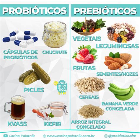 Alimentos Ricos Em Probióticos BRAINCP