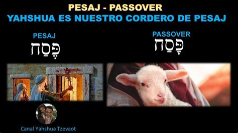 La Pascua Biblica Pesaj Como Celebrar Pesaj Los Gentiles Deben