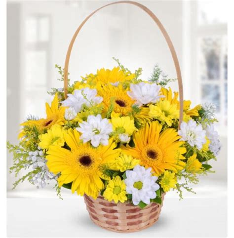 Gerbera Daisy Flower Basket Central Florist