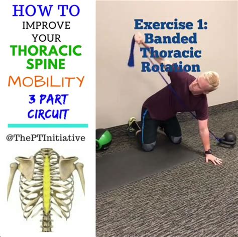 How To 3 Exercise Thoracic Spine Mobility Video