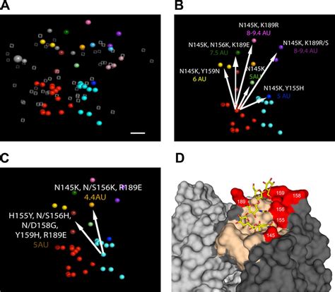 Substitutions Near The Hemagglutinin Receptor Binding Site Determine