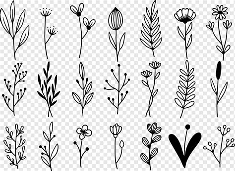 Hand Drawn Flowers Doodle Png Pngwing