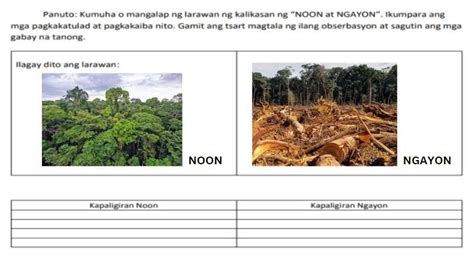 Panuto Kumuha O Mangalap Ng Larawan Ng Kalikasan Ng Noon At Ngayon