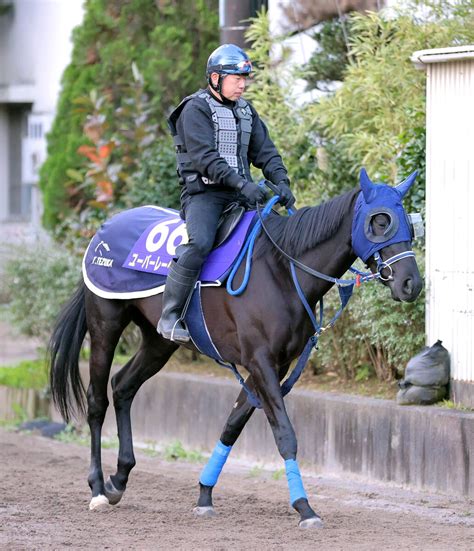 【ジャパンc追い切り】ユーバーレーベンが3頭併せの真ん中で上々の動き 手塚貴久調教師「十分合格点」 Umatoku 馬トク