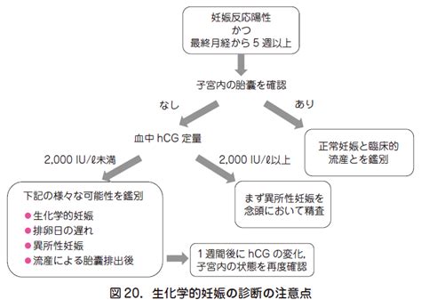 1．生化学的妊娠（biochemical Pregnancy）の扱い方 日本産婦人科医会