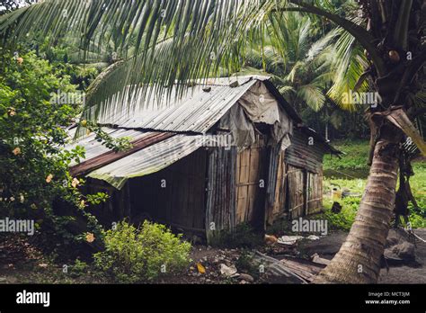 Tropical beach house in Thailand. An old cabin under a palm tree ...