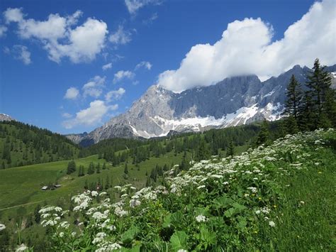 Dachstein View Mountains - Free photo on Pixabay - Pixabay