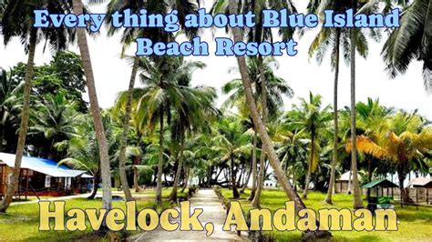 Everything About Blue Island Beach Resort Havelock Island