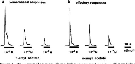 Figure 1 From Sensitivity And Transduction Mechanisms Of Responses To