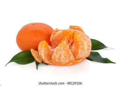 4,239 Satsuma Tangerine Images, Stock Photos & Vectors | Shutterstock