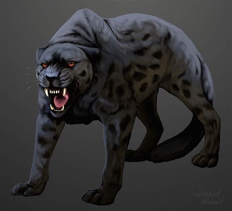 Panther Anatomy | atelier-yuwa.ciao.jp