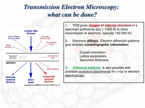 Ppt Transmission Electron Microscopy Tem Powerpoint Presentation