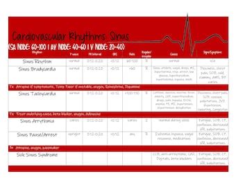 13 Cardiac Rhythm And Dysrhythmias Cheat Sheet Any Nurse Must Know For