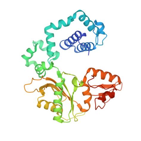 RCSB PDB 5U2S Pre Catalytic Ternary Complex Of Human DNA Polymerase