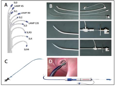 Transseptal Puncture A Step By Step Procedural Guide Cardiac