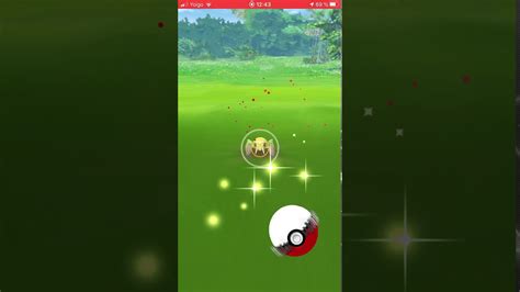 Nincada Shiny Pokémon Go Youtube