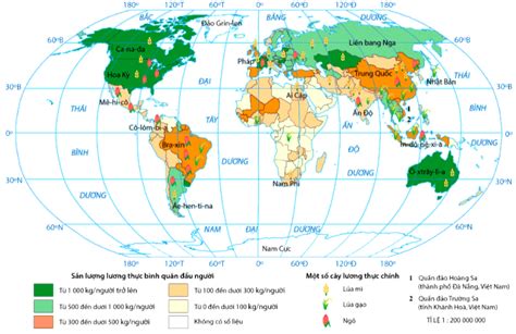 [sách Mới] Lý Thuyết Địa 10 Bài 21 Cánh Diều Địa Lí Các Ngành Nông