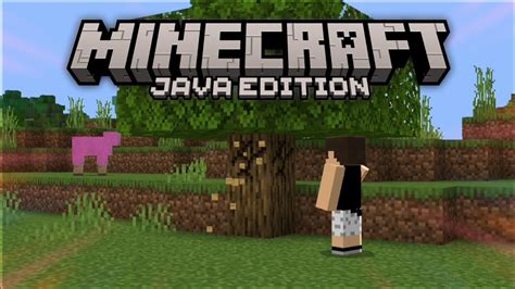 Jogando O Minecraft Java Edition Pela Primeira Vez Youtube