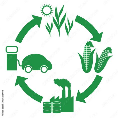 Vetor Do Stock Biofuel Biomass Ethanol Life Cycle Diagram