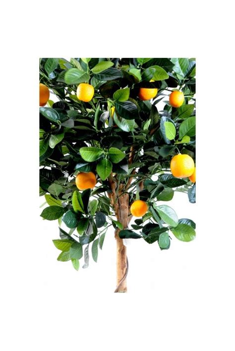 Orange Artificial Trees