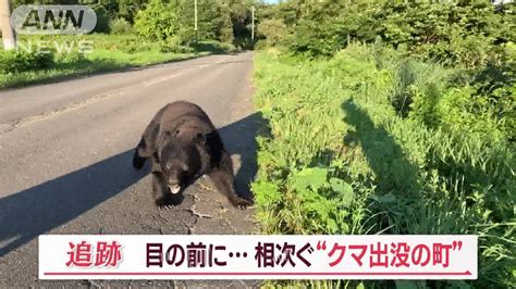 【秋田】赤毛で大型の個体の目撃例？恐怖の人喰いグマ地元民の衝撃証言 時事ネタまとめクエスト～ジジクエ～