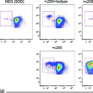 Longitudinal Assessment Of Hcv Specific Cd T Cell Responses By Mhc