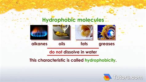 Hydrophilic Examples