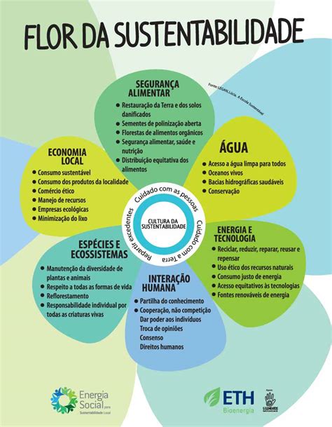 Exemplos De Sustentabilidade Ambiental - 7