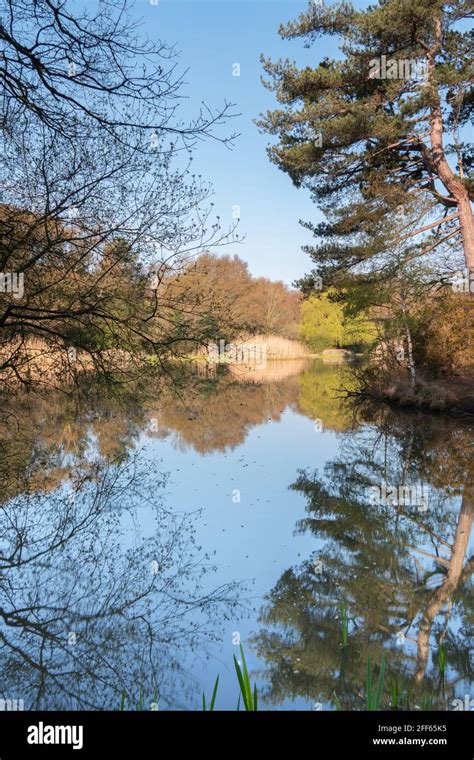 The Ornamental Lake On Southampton Common Stock Photo Alamy