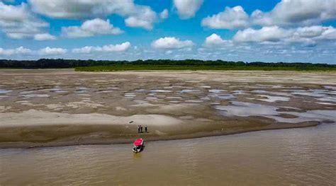 Mapeamento destaca aumento da seca na Amazônia brasileira