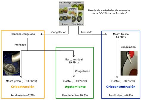 Cómo hacer sidra casera utilizando un alambique guía paso a paso