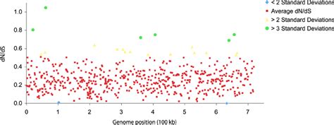 Summary Of Dn Ds Ratio Calculations Relative To Genome Position Genes