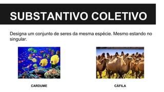 Cardume É Um Substantivo Coletivo - Substantivo | PPTX